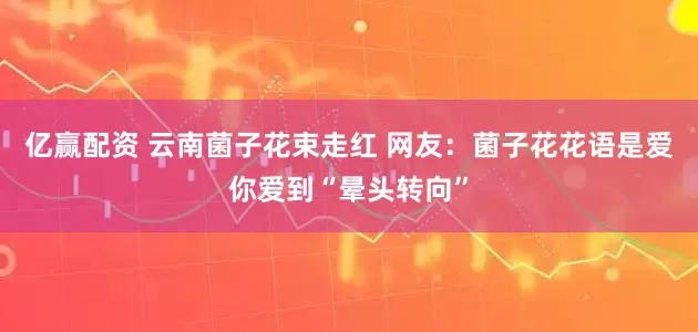 亿赢配资 云南菌子花束走红 网友：菌子花花语是爱你爱到“晕头转向”